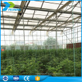 polycarbonate sheet price, china supplier of greenhouse PC sheet with good quality